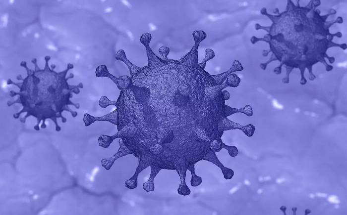 Coronavirus